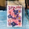 Mixed Packs 12