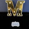 DOG BONE MOLD thumbnail 1