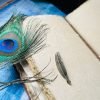 Bookmark Hangs 5 thumbnail 3