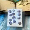 HIBISCUS thumbnail 2