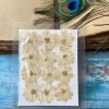 LARKSPUR thumbnail 10