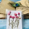 CHRYSANTHEMUM DAISY thumbnail 4