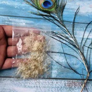 Dandelions (70-80 pieces approax)