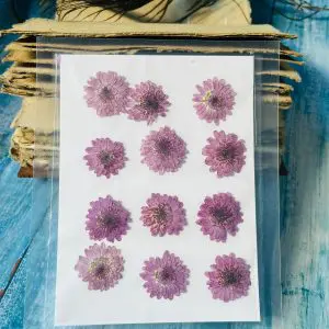 12 pieces Purple dried flowers for resin