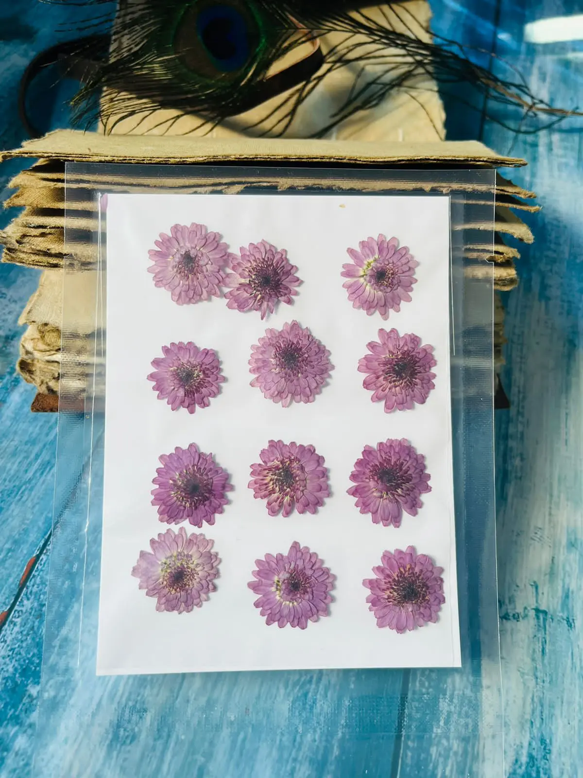 12 pieces Purple dried flowers for resin