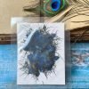 NIGELLA thumbnail 7