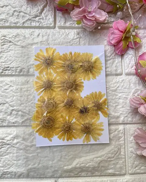 YELLOW BIG dried flowers for resin