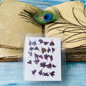 Dark Purple Cornflower Pressed Flowers