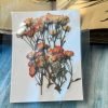 SMALL ROSE BUDS thumbnail 3