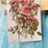 SMALL ROSE BUDS thumbnail 8