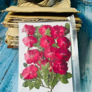 Red Roses with Strings