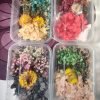 Random box thumbnail 1