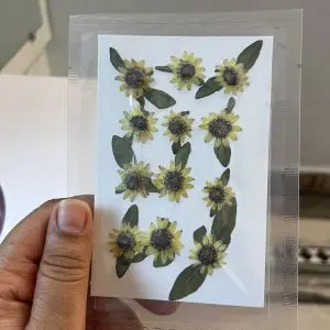 Small dried sunflowers for resin