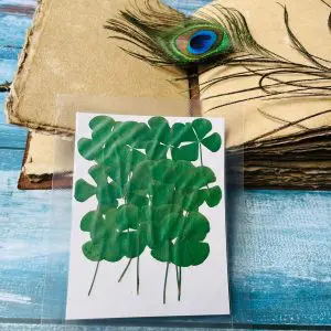 FOUR CLOVER LEAVES 100piece