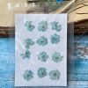 LARKSPUR thumbnail 7