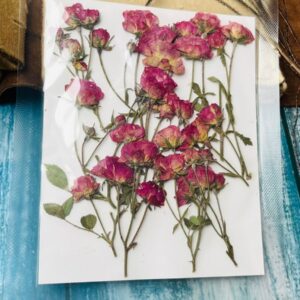 dired flowers in resin | dried flowers in resin