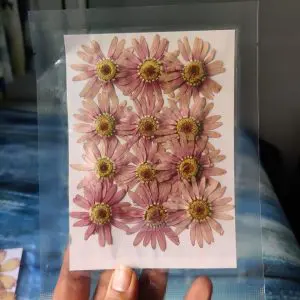 Purple dried sunflowers for resin