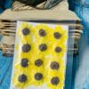 Yellow dried sunflowers for resin