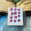 HIBISCUS thumbnail 10
