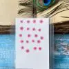 PLUM BLOSSOM thumbnail 1