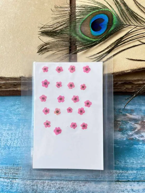 PLUM BLOSSOM