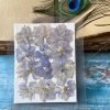 LARKSPUR thumbnail 12