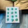 HIBISCUS thumbnail 4