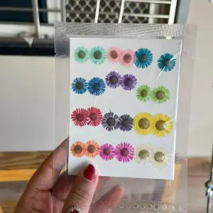 MIXED ASTERS (24 pieces)