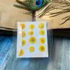 HIBISCUS thumbnail 9