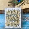 NIGELLA thumbnail 6