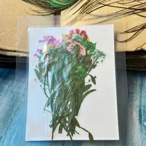 Mixed Pack(18 Pieces)