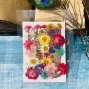 Mixed Packs 9