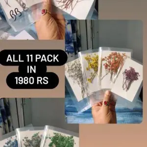 BABY BREATH COMBO