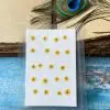 PLUM BLOSSOM thumbnail 14