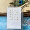 PLUM BLOSSOM thumbnail 15