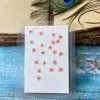 PLUM BLOSSOM thumbnail 3