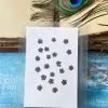 PLUM BLOSSOM thumbnail 7