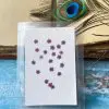 PLUM BLOSSOM thumbnail 8
