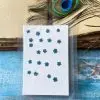 PLUM BLOSSOM thumbnail 10