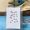 PLUM BLOSSOM thumbnail 9