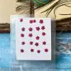 PLUM BLOSSOM thumbnail 6