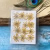Anna Laces Natural dried flowers for resin thumbnail 15