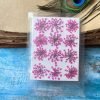 Anna Laces Natural dried flowers for resin thumbnail 3