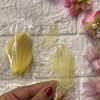 Skeleton Leaves thumbnail 10