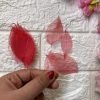 Skeleton Leaves thumbnail 7