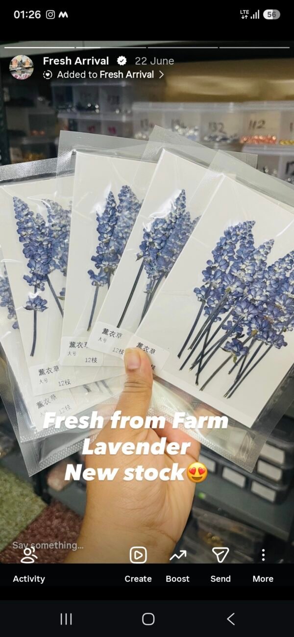 LAVENDER