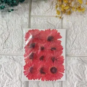 RED BIG dried flowers for resin