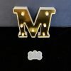 DOG BONE MOLD thumbnail 2