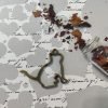 CAT 2 thumbnail 4
