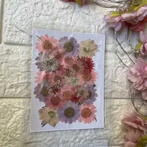 BLUSH PINK